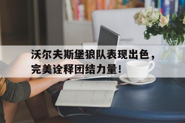 沃尔夫斯堡狼队表现出色，完美诠释团结力量！